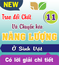 Trao đổi Chất và Chuyển Hóa Năng lượng ở Sinh vật (KNTT)